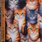 Preview: Baumwollstoff Motivdruck digital Katzen allover